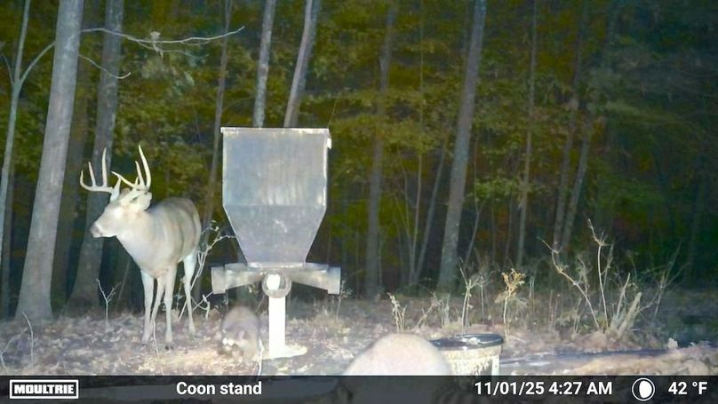 Fleming Petry 115-71