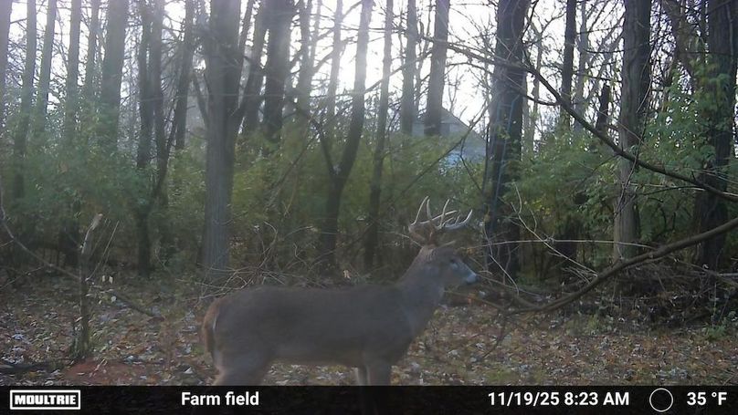 Temp_1541347-20251119132412-100MFCAM_MFDC2306