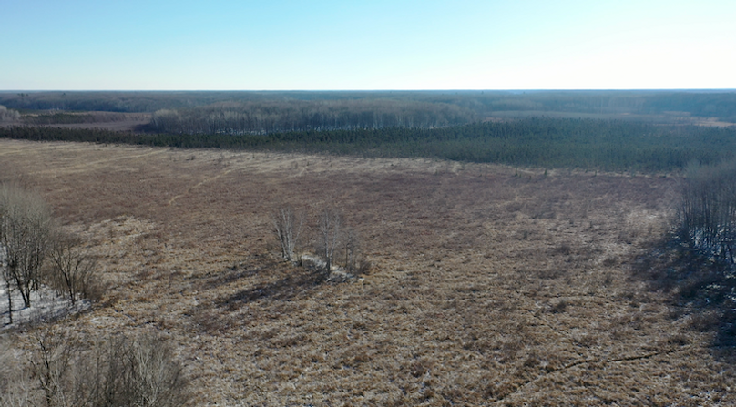 Screenshot 2024-02-12 at 9.44.56 AM