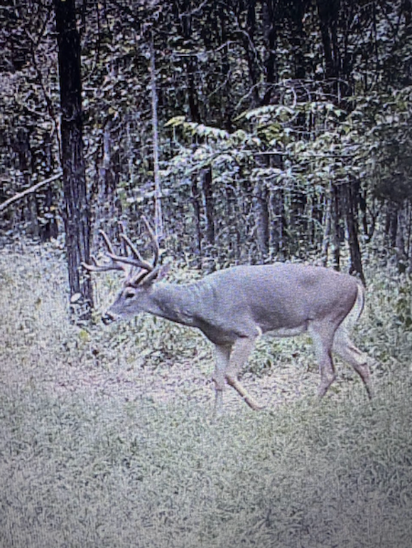 Screenshot 2026-03-02 at 9.55.48 AM