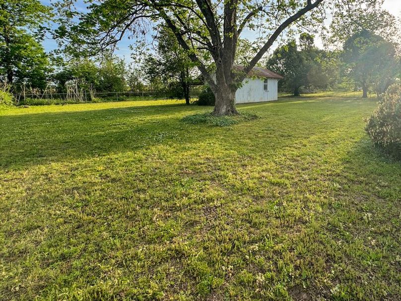 Phillips .5 Stokes -19