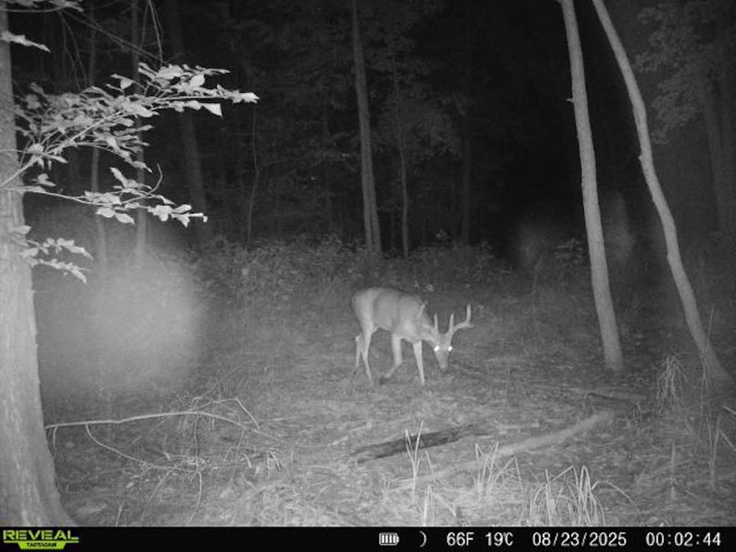 860516068101389-100-2-08232025000244-V-W1001177