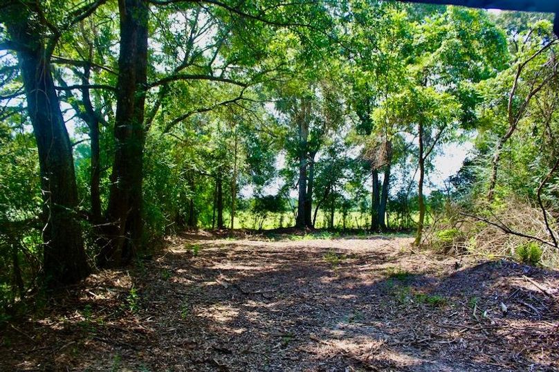 8D39CFA0-2C95-463C-BB12-90B56E194120_1_105_c