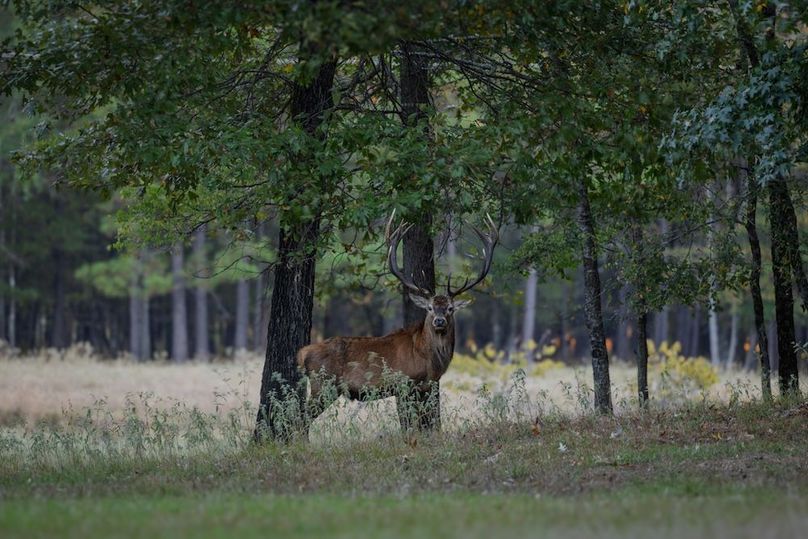 09  harrison 417ac pics-039