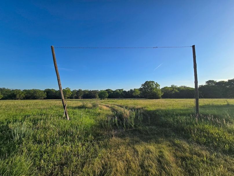 Copy of 20250729_072931