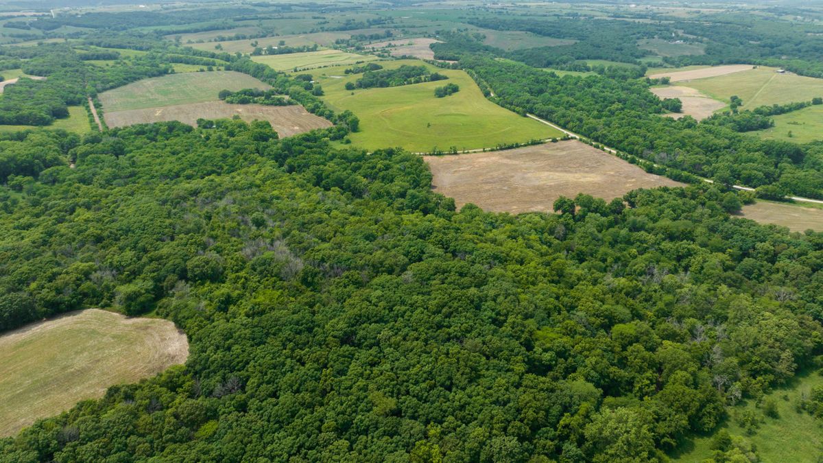 Proven Whitetail Hunting Farm With Water, Hardwoods, And High Quality