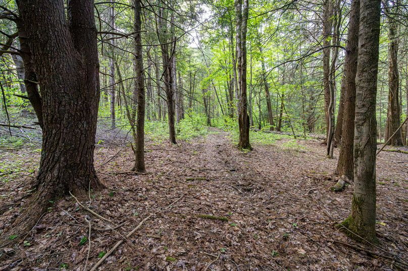 Tompkins_38.42_Shea_Photos_43