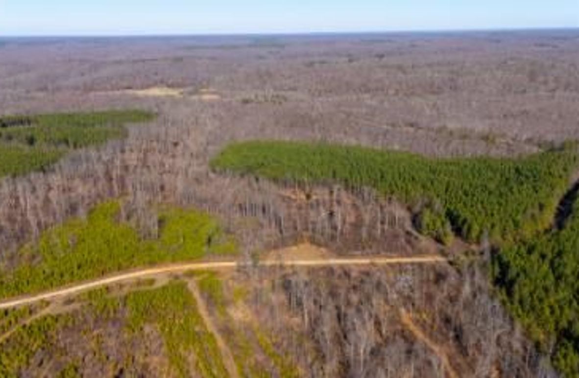 MCKINNON TRACT 18B-01