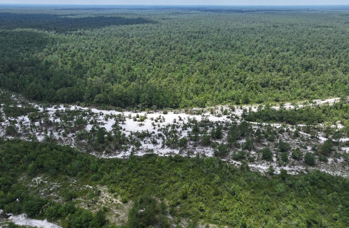 DJI_20250627124234_0164_D