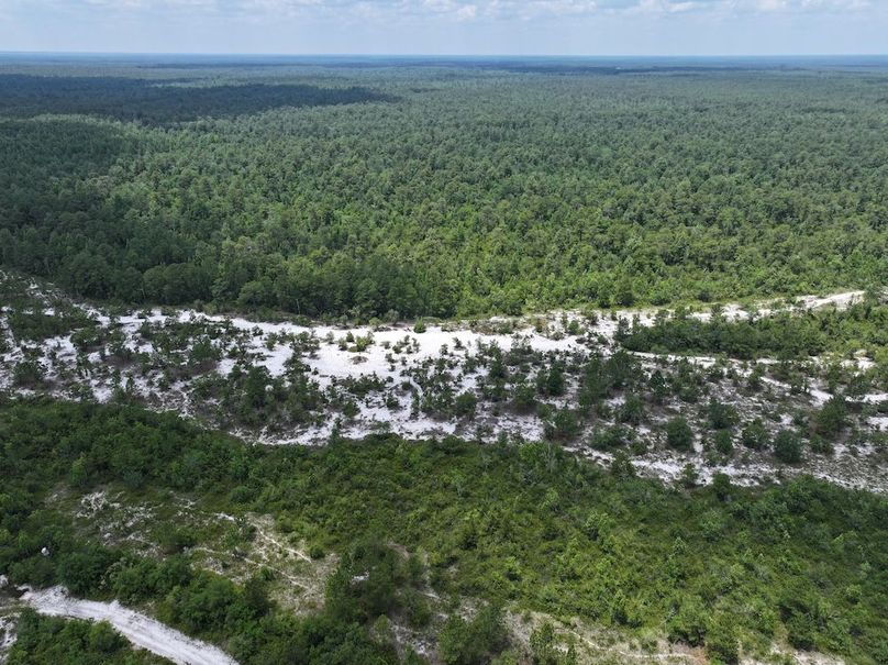 DJI_20250627124234_0164_D