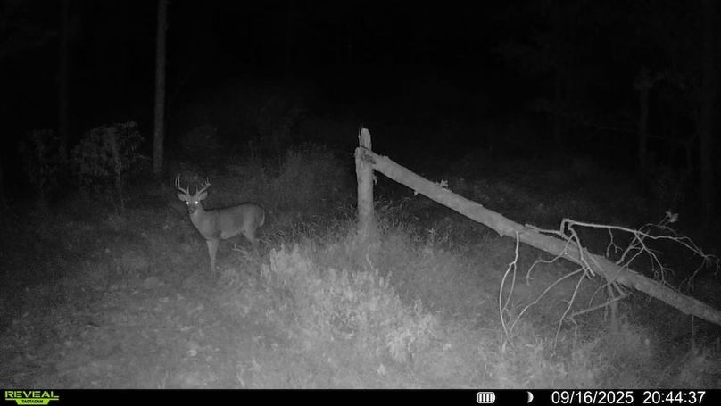 016578004709009-86-2-09162025204437-SYFW00874