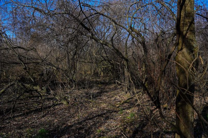 vandalia 450 (2)-1675