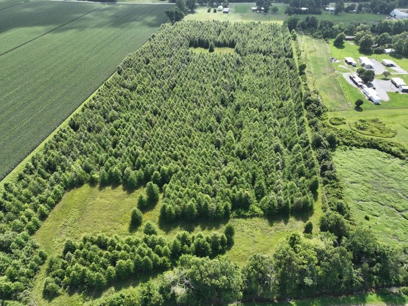 dji_fly_20250620_100400_15_1750611260938_photo