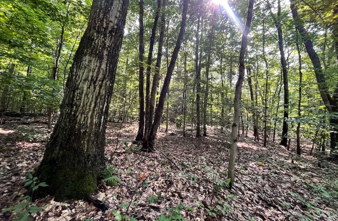 Oswego_22.46-Ross-French_Photos_1