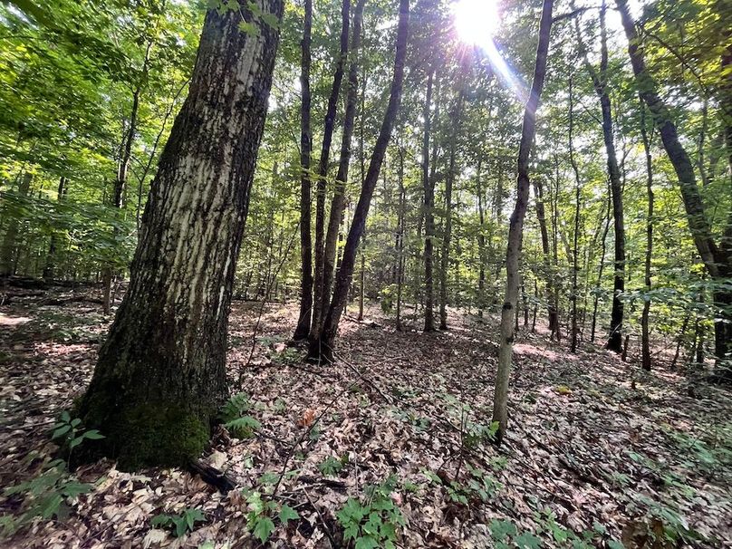 Oswego_22.46-Ross-French_Photos_1