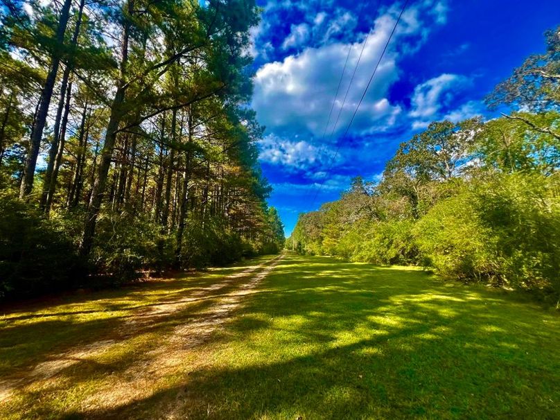 CEB60C71-9F5C-4A8D-A4DE-5E806A6EC78D_1_201_a