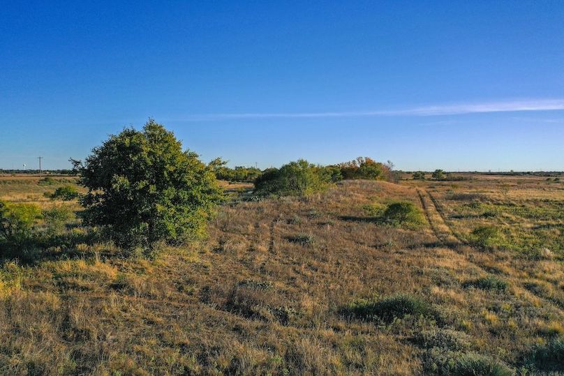 org_874e5ae876376885_1762731884000