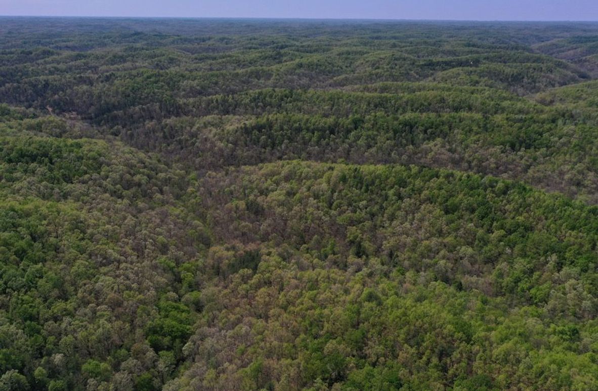 003 aerial drone shot from the north part of the property looking to the east across the main points