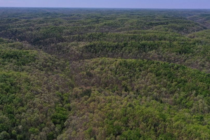 003 aerial drone shot from the north part of the property looking to the east across the main points