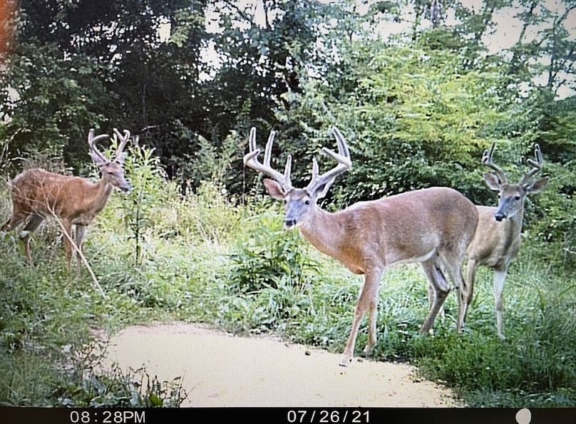 02 nice frame and some up and comers copy