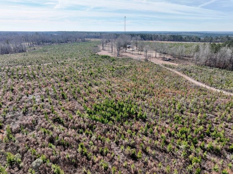 dji_fly_20260120_111356_162_1768926666361_photo