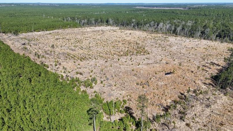 DJI_20260224035711_0396_D