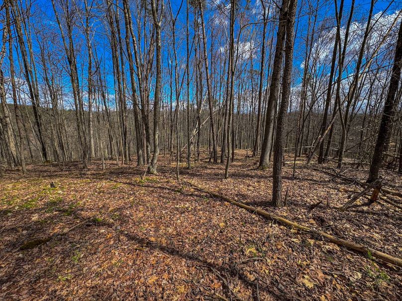 Wirt, WV 62.5 AC Full-21