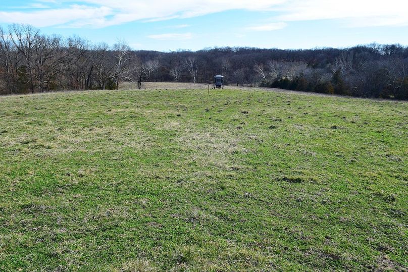 DSC_0278_inPixio (2)