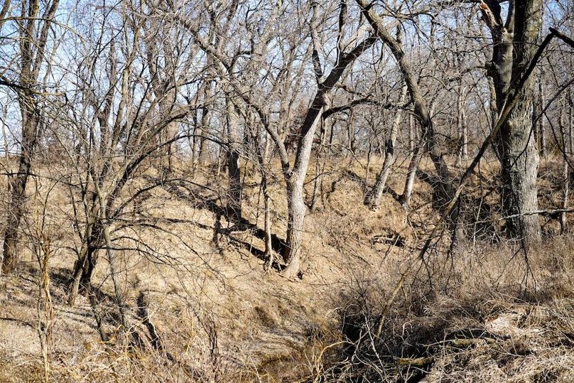 Ottawa Co, 199.7_068