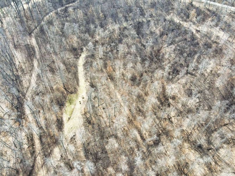 022 top down view showing the food plots and trail system-2