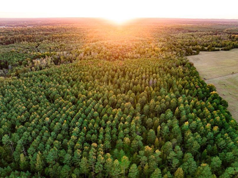 Clay 302.7 Henderson-53