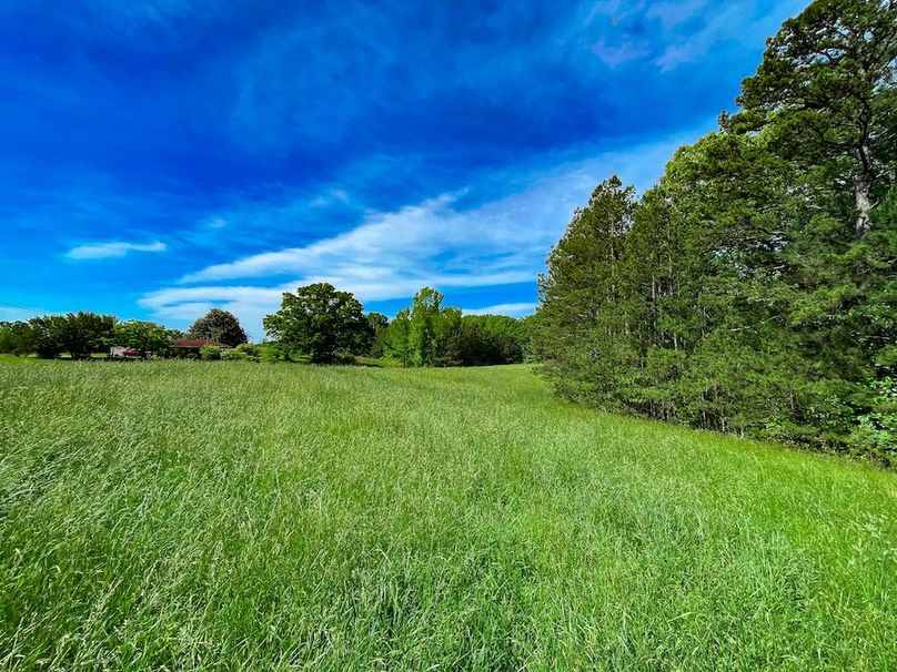 Haralson GA 100 McIntyre-37