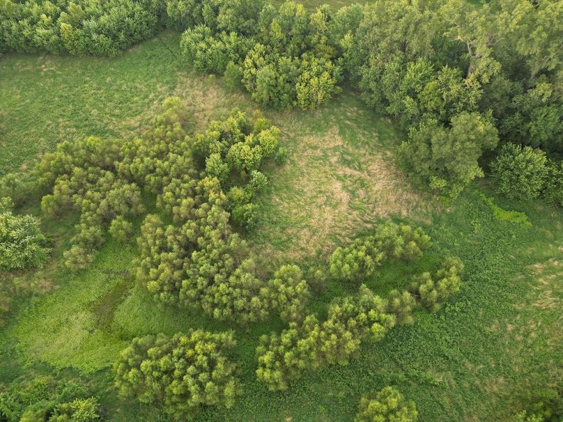 DJI_0191