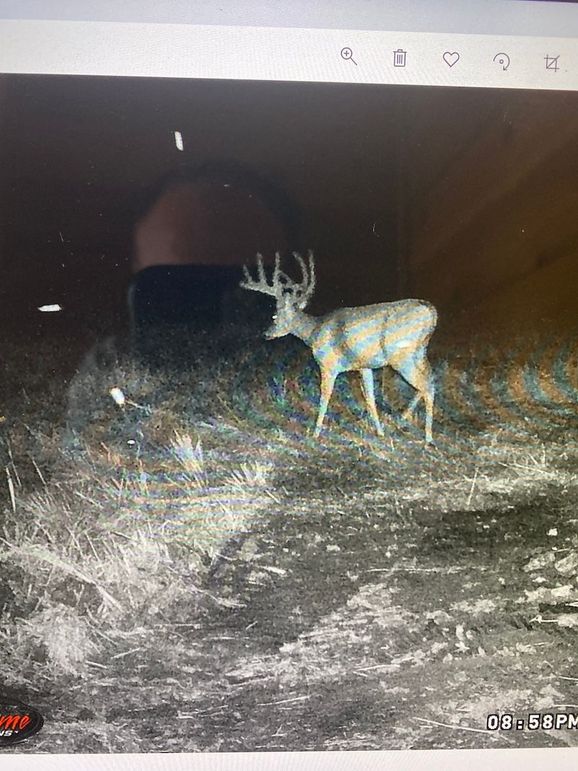 61799063365__E7898F79-F9AC-4ADE-85B3-29246CE1CFD1