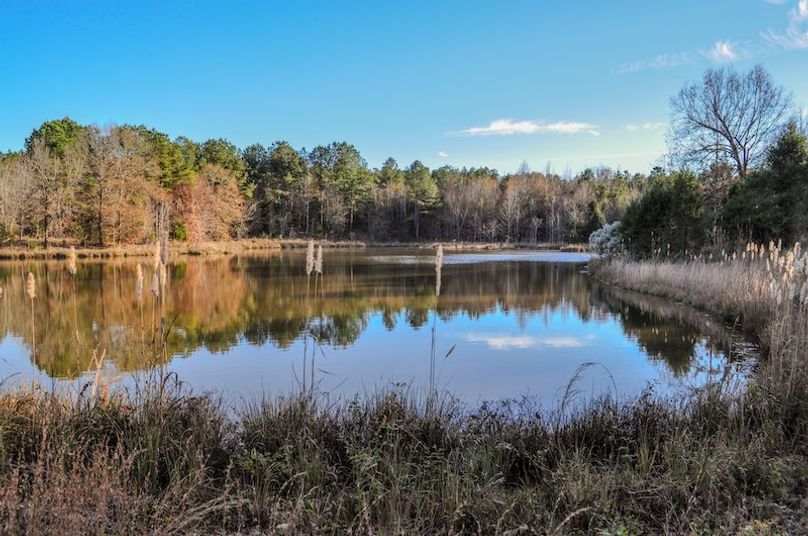 Lafayette 283.5 Jackson Initial Listing Photos -23