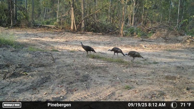 2365951-20250919131252-100MFCAM_MFDC0947