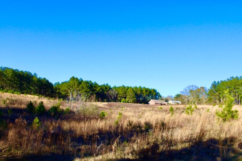 747935F6-854D-4A96-8483-0A539C643A2A_1_201_a-2