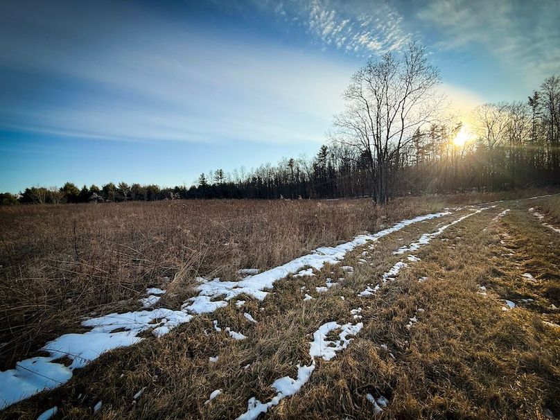 Seneca_24.54_Hohwald_Photos_45