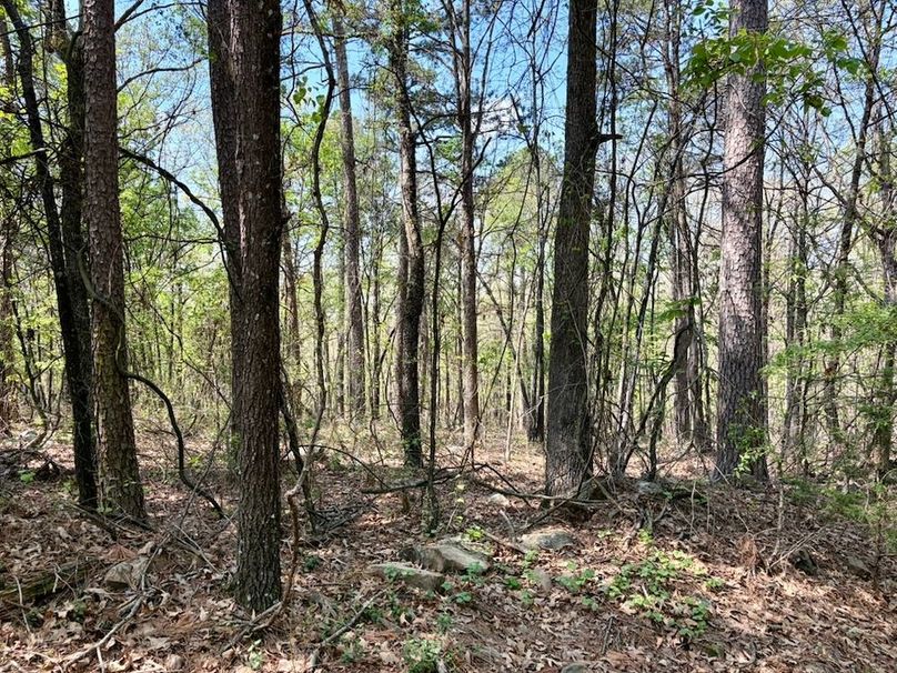 9E9572A3-5B8B-4958-9E60-64B44E2C47AF_1_105_c