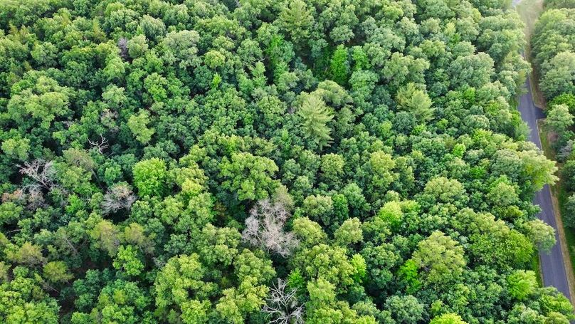 dji_fly_20250624_195510_889_1750813845303_photo_optimized