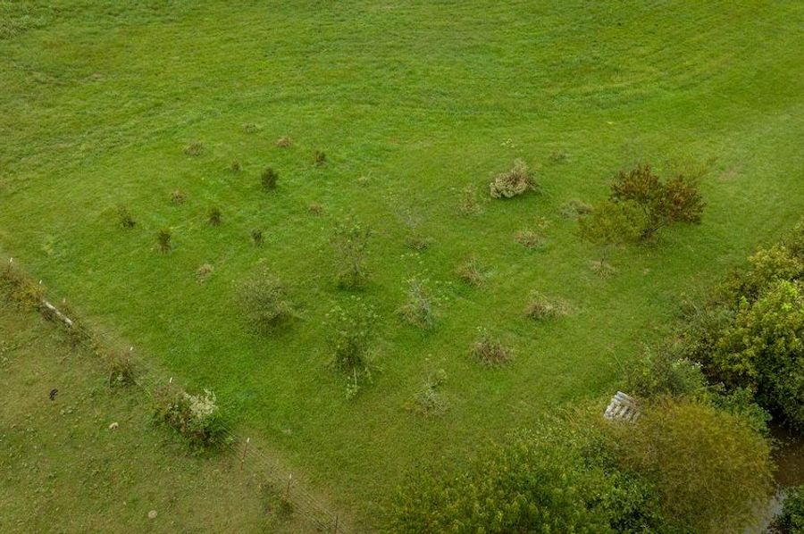 DJI_0886
