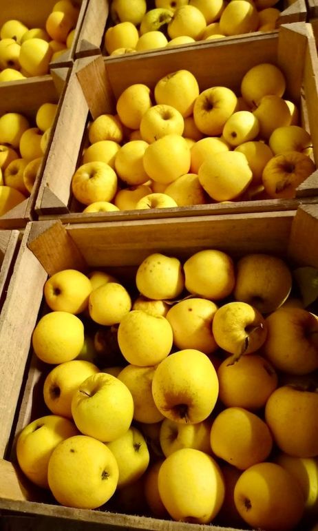 Apples(3)