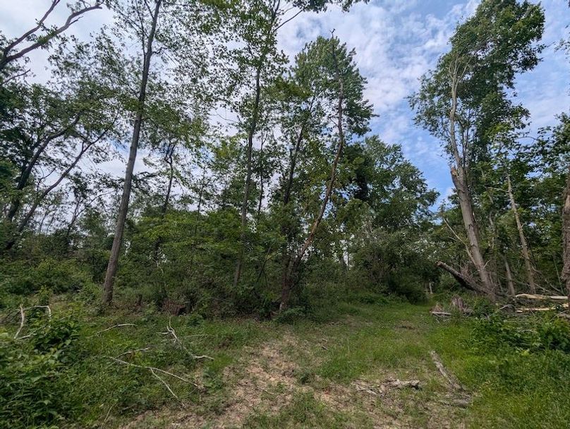 PXL_20240625_181952354