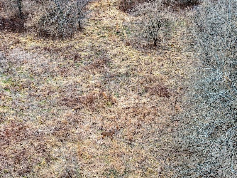 DJI_20260119104212_0714_D