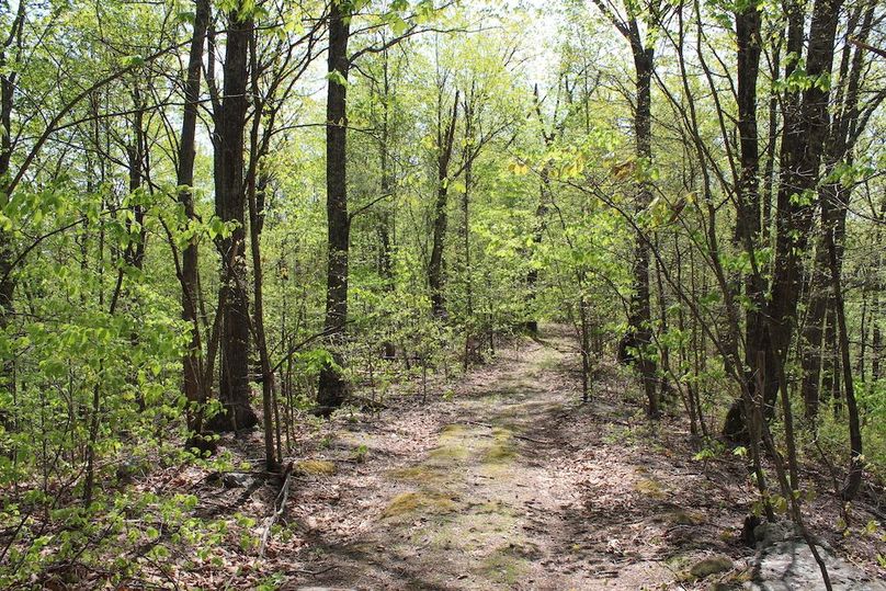 003 trail along an open hardwood ridge inside the west boundary of the property