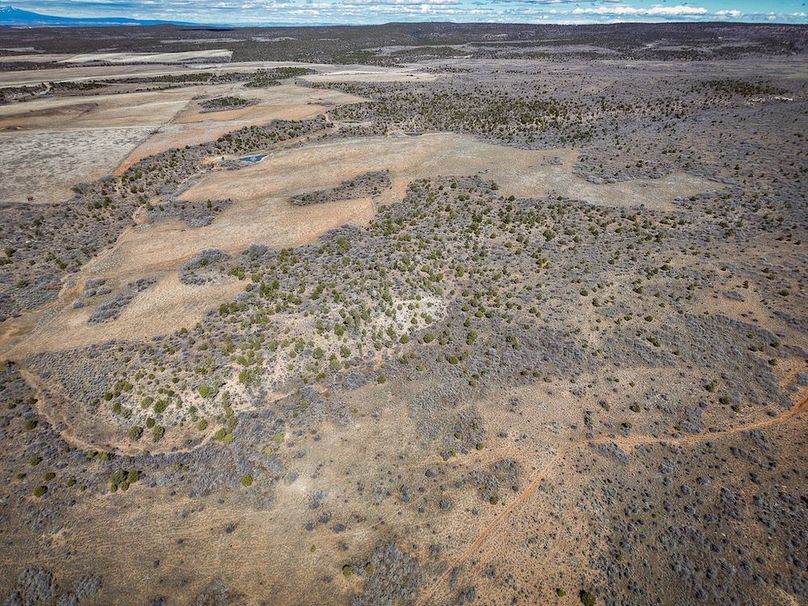 DJI_20260303122842_0064_D