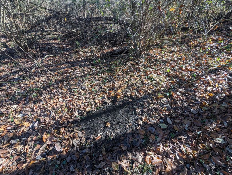 PXL_20231103_151534336