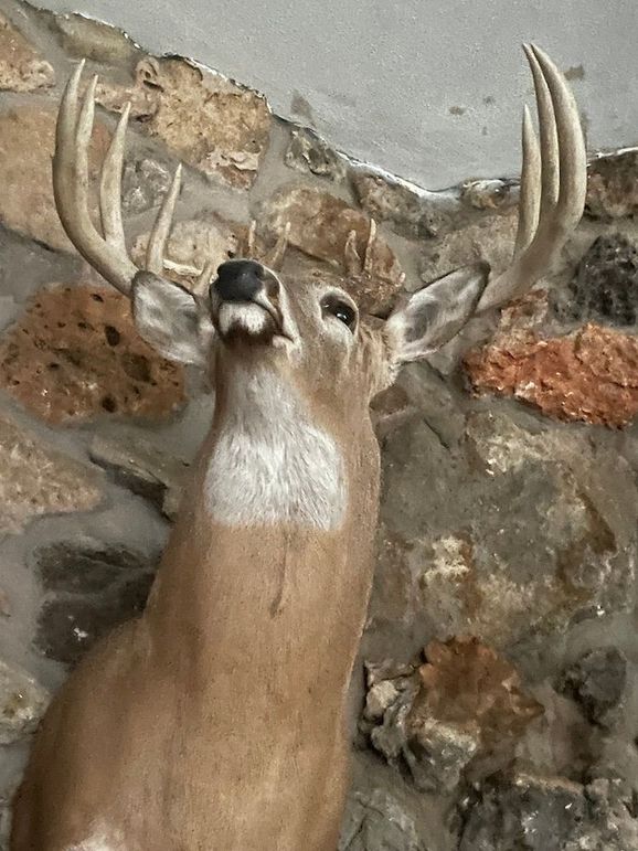 79583119558__EE0A0940-09FF-4826-9FF0-D102C6625C2F