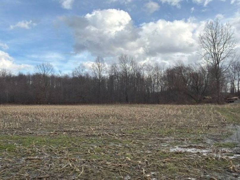 9C031ADE-BC67-41E4-BA14-A1FF79784880_4_5005_c