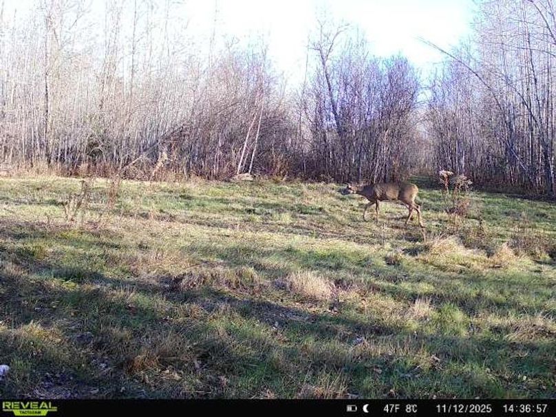 864049056287651-20-4-11122025143656-W1000428